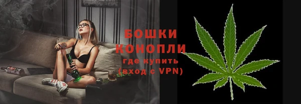 хмурый Дмитров