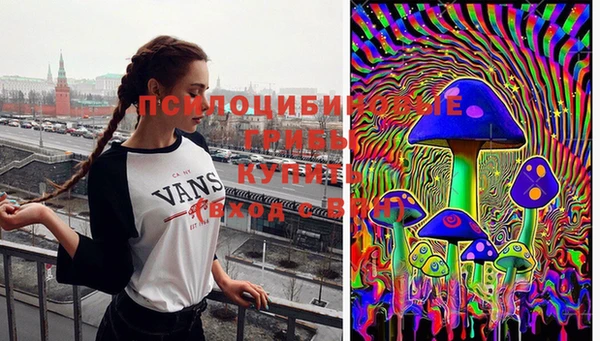 метадон Дмитровск