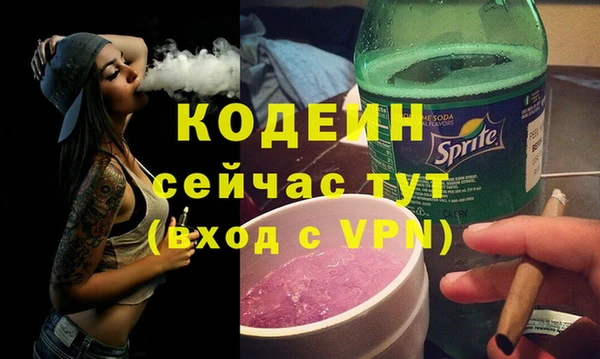 хмурый Дмитров