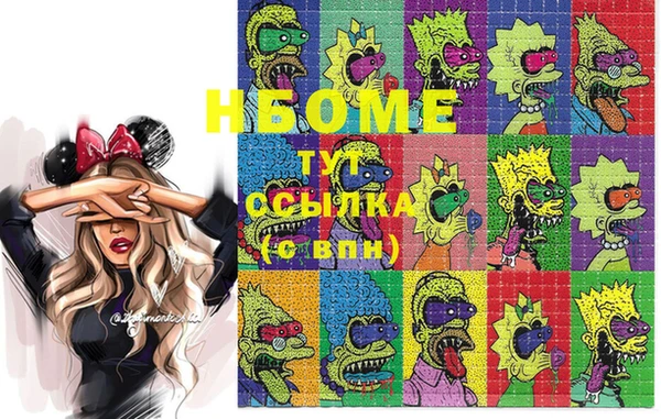 хмурый Дмитров