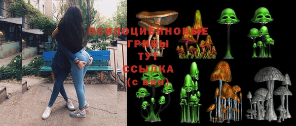 хмурый Дмитров