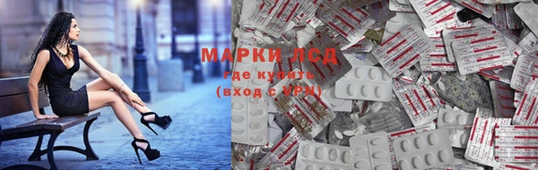 хмурый Дмитров