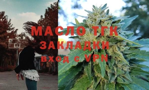 хмурый Дмитров